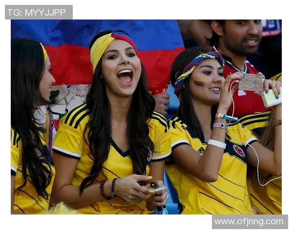 足球世界杯观众观赛体验及未来趋势